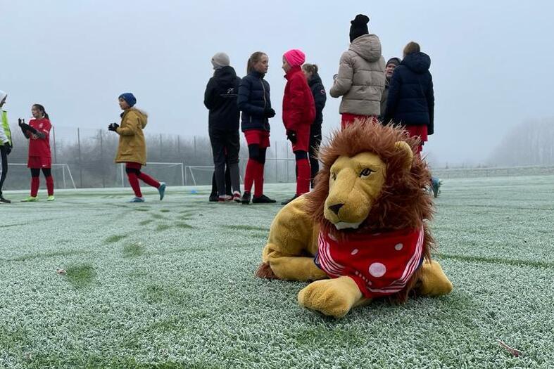 Plüschlöwe mit rotem Halstuch liegt auf gefrorenem Fußballfeld, während Kinder im Hintergrund spielen.