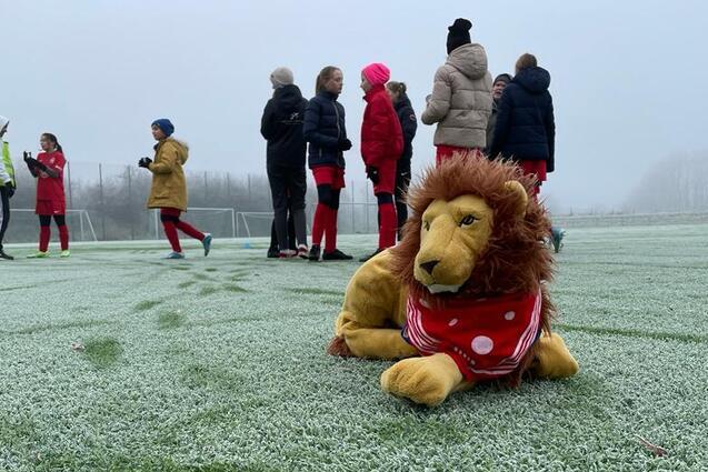 Pl&uuml;schl&ouml;we mit rotem Halstuch liegt auf gefrorenem Fu&szlig;ballfeld, w&auml;hrend Kinder im Hintergrund spielen.