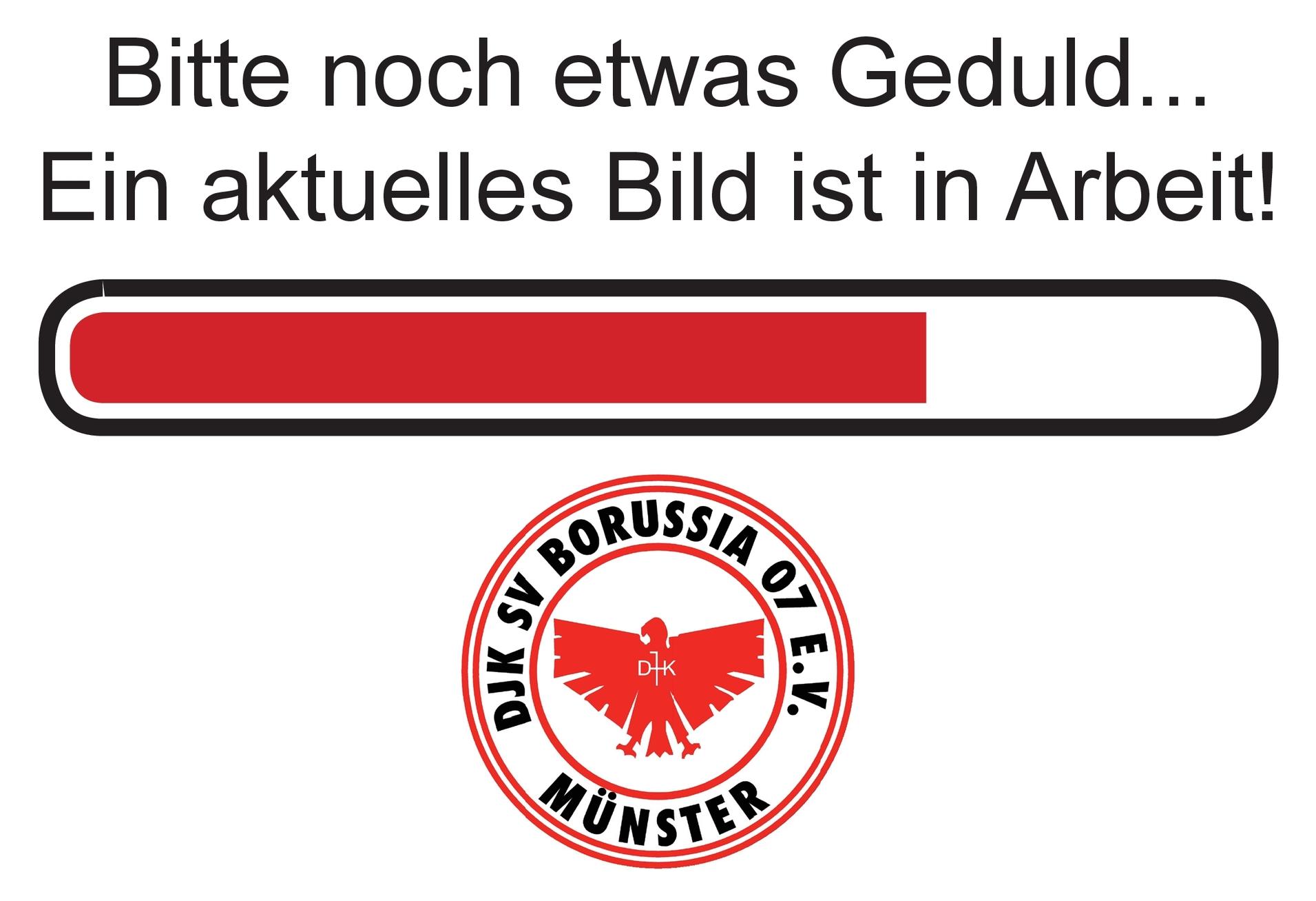 Ladeanzeige mit rotem Fortschrittsbalken und DJK SV Borussia 07 e.V. Münster-Logo darunter.