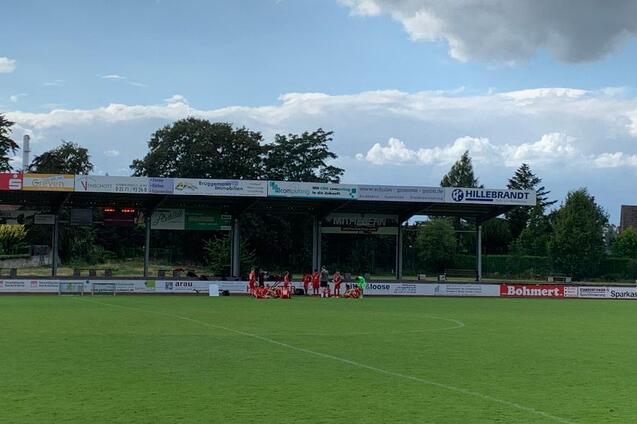 Gr&uuml;ne Fu&szlig;ballfeld mit einer Gruppe von Spielern auf einem Seitenwechsel, umgeben von B&auml;umen und einer Wolkenlandschaft.