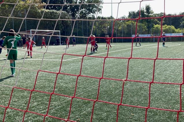 Sicht durch ein Fu&szlig;ballnetz auf ein Spiel, Spieler in roten und blauen Trikots laufen &uuml;ber das gr&uuml;ne Kunstrasenfeld.