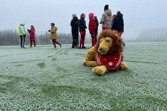 Pl&uuml;schl&ouml;we mit rotem Halstuch liegt auf gefrorenem Fu&szlig;ballfeld, w&auml;hrend Kinder im Hintergrund spielen.