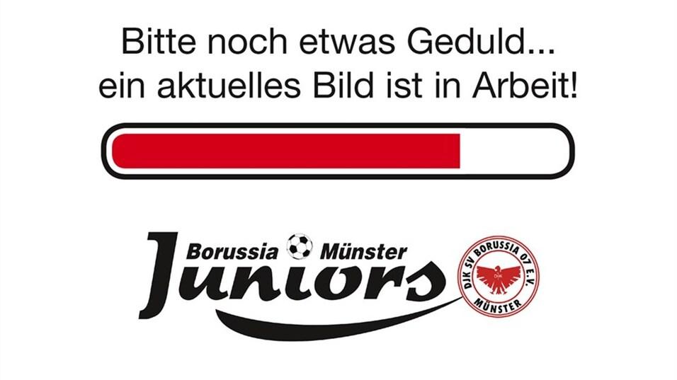 Ladebalken mit der Aufschrift &bdquo;Bitte noch etwas Geduld... ein aktuelles Bild ist in Arbeit!&ldquo; und Logo von Borussia M&uuml;nster Juniors.