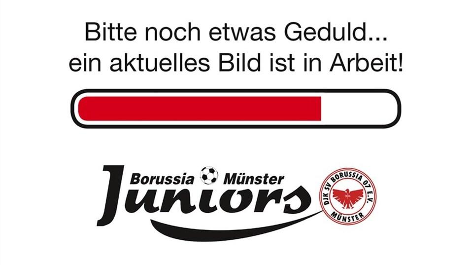 Ladebalken mit der Aufschrift &bdquo;Bitte noch etwas Geduld... ein aktuelles Bild ist in Arbeit!&ldquo; und Logo von Borussia M&uuml;nster Juniors.