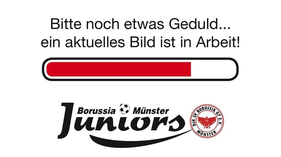 Ladebalken mit der Aufschrift &bdquo;Bitte noch etwas Geduld... ein aktuelles Bild ist in Arbeit!&ldquo; und Logo von Borussia M&uuml;nster Juniors.