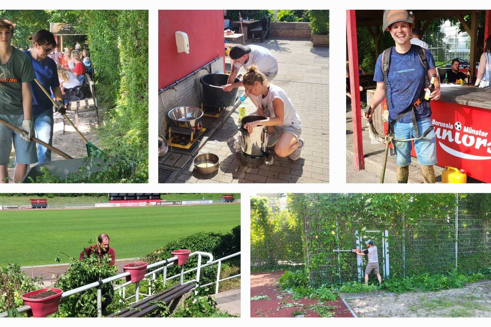 Gruppen von Jugendlichen bei verschiedenen Gartenarbeiten, wie Unkrautj&auml;ten, Kochen und Pflanzenpflege im Freien.