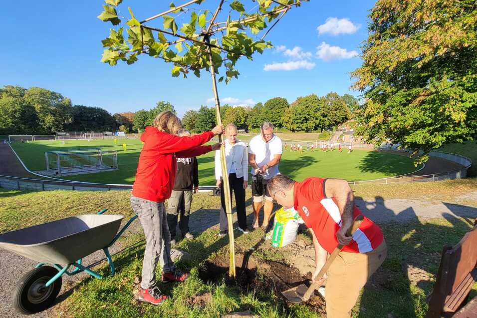 Gruppen von Menschen pflanzen einen Baum in einem Park mit Rasenfl&auml;chen und einem Fu&szlig;ballfeld im Hintergrund.