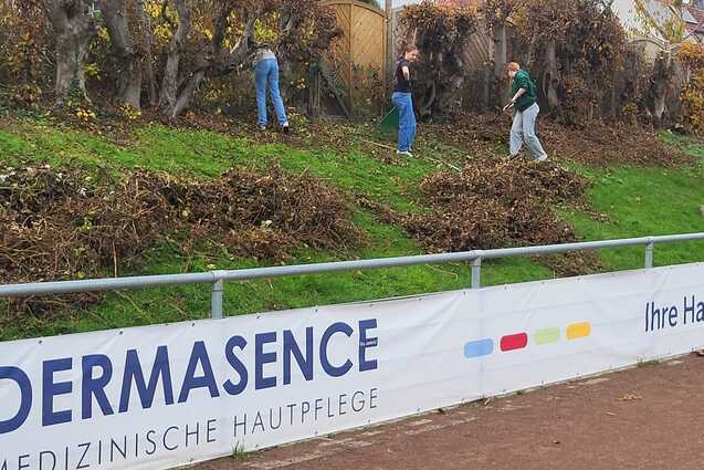 Drei Personen entfernen Laub auf einem Hang, w&auml;hrend ein Werbebanner f&uuml;r Dermasence im Vordergrund sichtbar ist.