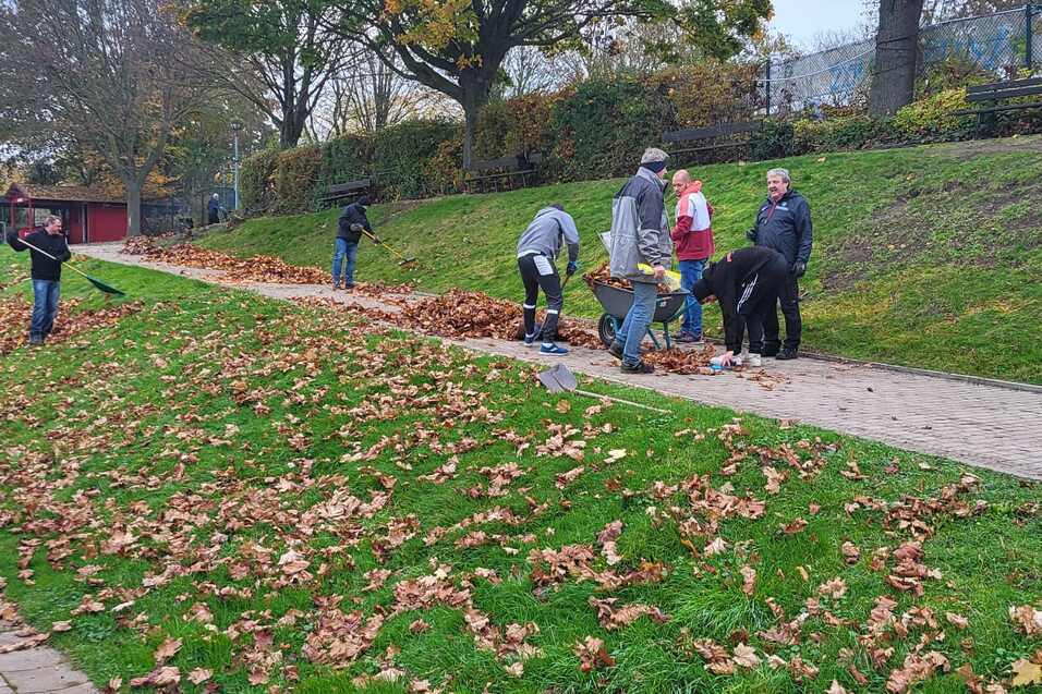 Menschen sammeln Laub in einem Park auf einem gr&uuml;nen Hang, umgeben von B&auml;umen und einem gepflasterten Weg.