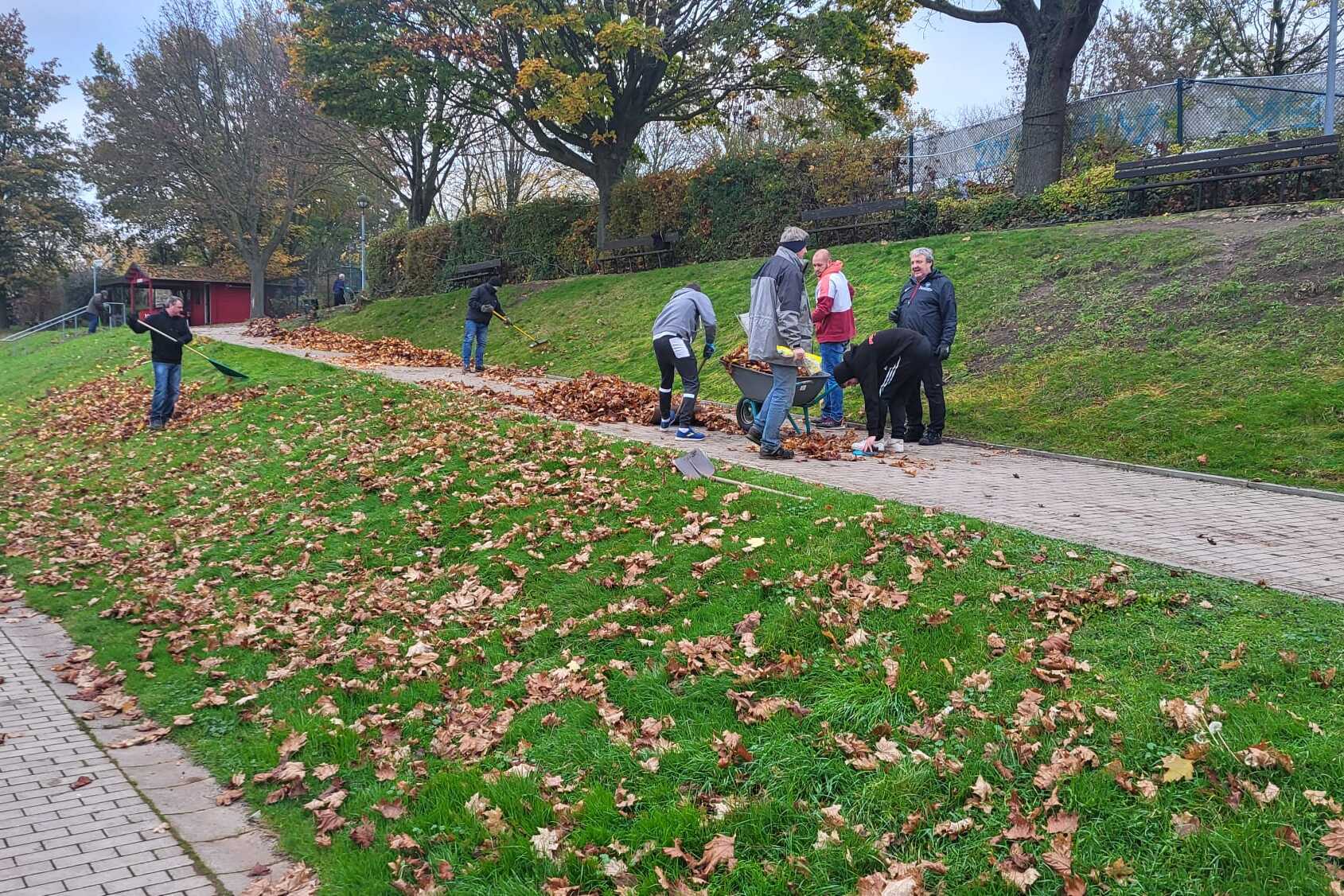 Menschen sammeln Laub in einem Park auf einem gr&uuml;nen Hang, umgeben von B&auml;umen und einem gepflasterten Weg.