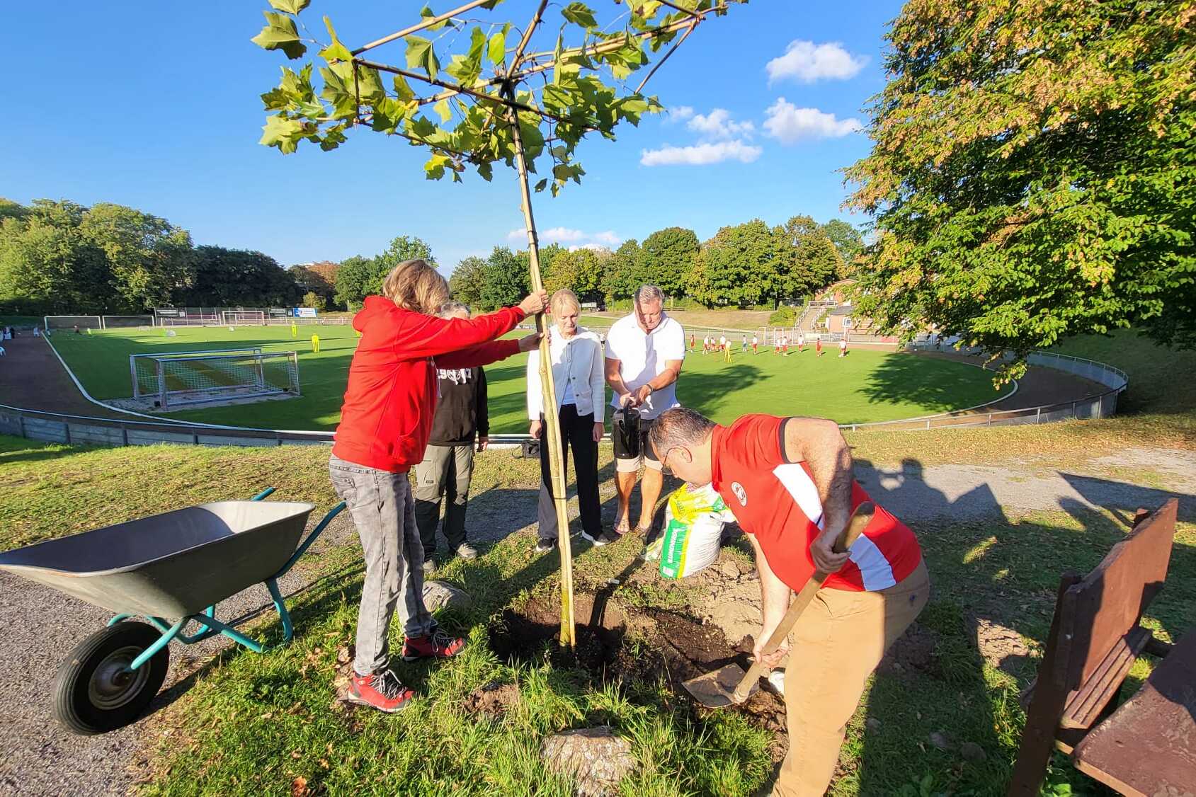 Gruppen von Menschen pflanzen einen Baum in einem Park mit Rasenfl&auml;chen und einem Fu&szlig;ballfeld im Hintergrund.
