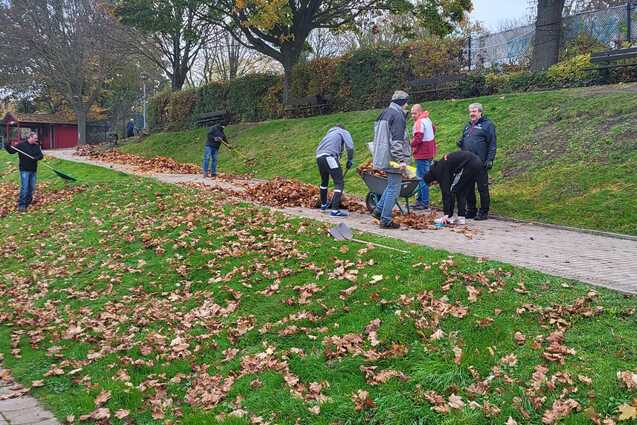 Menschen sammeln Laub in einem Park auf einem gr&uuml;nen Hang, umgeben von B&auml;umen und einem gepflasterten Weg.