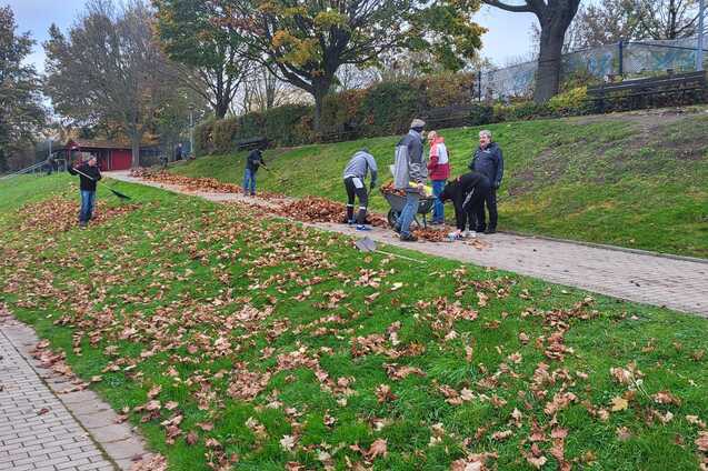 Menschen sammeln Laub in einem Park auf einem gr&uuml;nen Hang, umgeben von B&auml;umen und einem gepflasterten Weg.