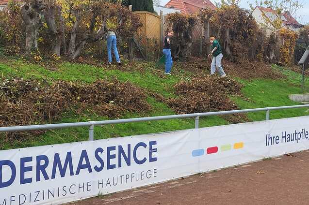 Drei Personen entfernen Laub auf einem Hang, w&auml;hrend ein Werbebanner f&uuml;r Dermasence im Vordergrund sichtbar ist.
