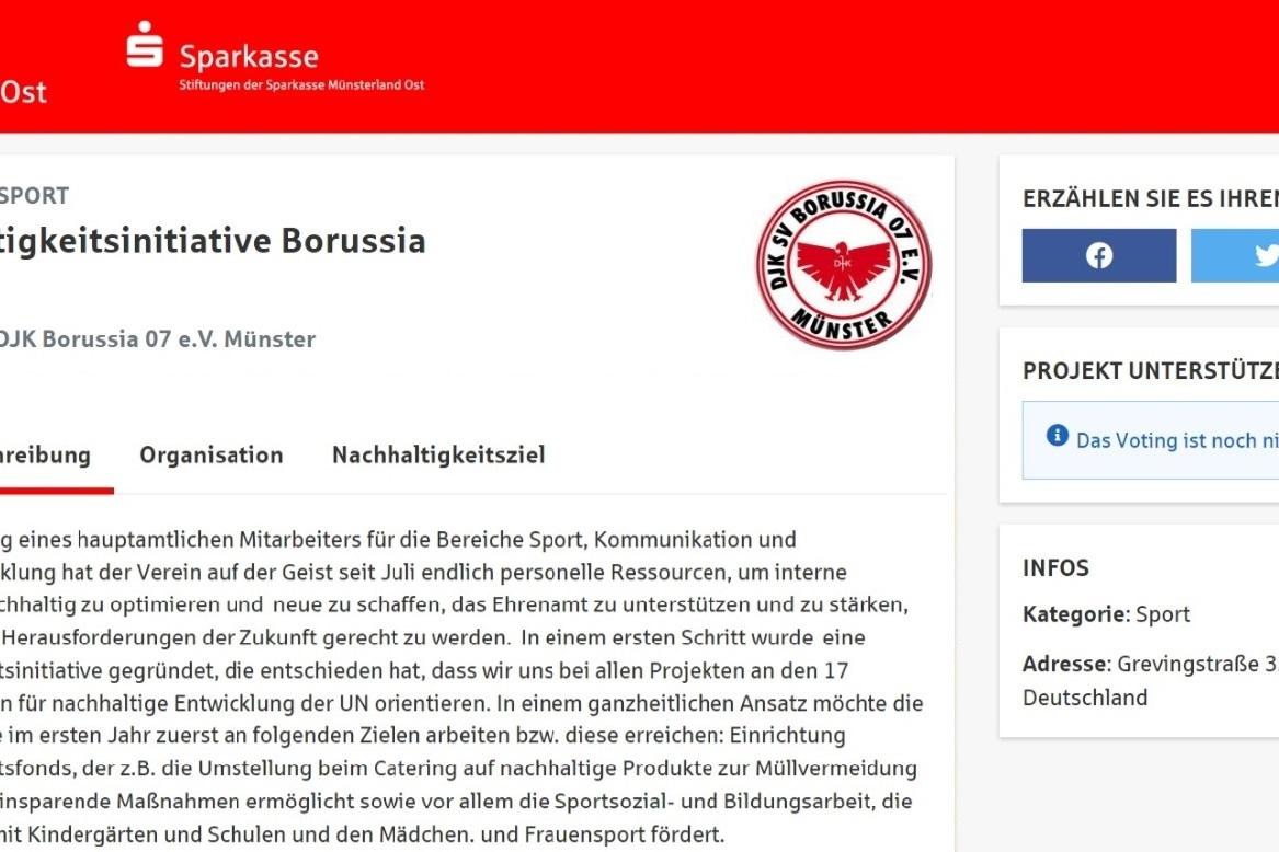 Webseite der Nachhaltigkeitsinitiative Borussia M&uuml;nster mit Logo und Projektbeschreibung des Sportvereins DJK Borussia 07 e.V. M&uuml;nster.