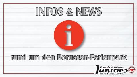 Info und News &uuml;ber den Borussen-Ferienpark auf einem linierte Hintergrund mit Logo von Borussia M&uuml;nster Juniors.
