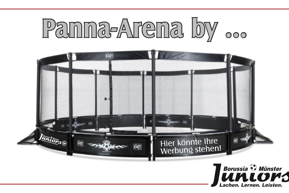 Panna-Arena mit schwarzem Netz und Werbefl&auml;chen, pr&auml;sentiert von Borussia M&uuml;nster Juniors.