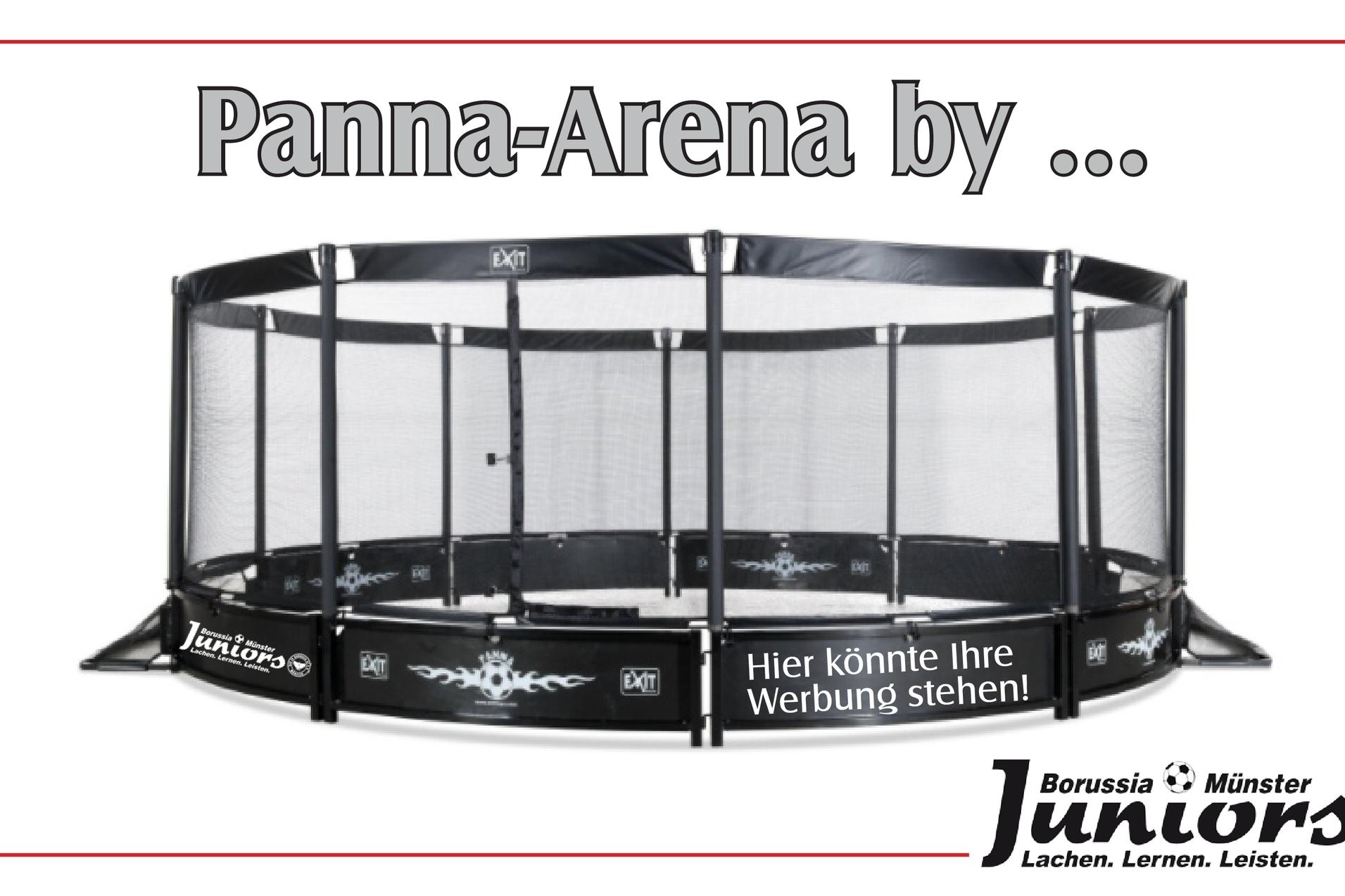 Panna-Arena mit schwarzem Netz und Werbefl&auml;chen, pr&auml;sentiert von Borussia M&uuml;nster Juniors.